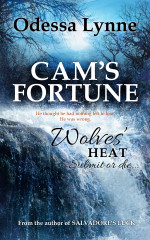 Cam's Fortune book cover